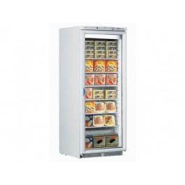 FREEZER GLASS DOOR ICE PLUS N 60