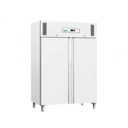 STATIC FREEZER 1200 LT PAINTED SHEET