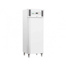STATIC FREEZER 600 LT PAINTED SHEET 