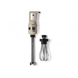 MIXER MOD. GIO' HEAVY 350 WATT WITH WHIP AND MIXING OF 300 MM SPEED VARIABLE