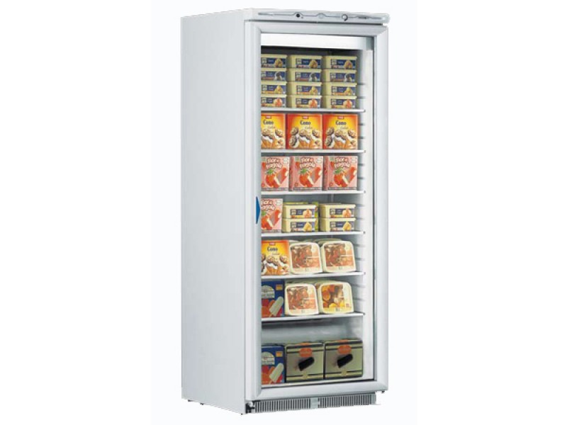 FREEZER GLASS DOOR ICE PLUS N 60