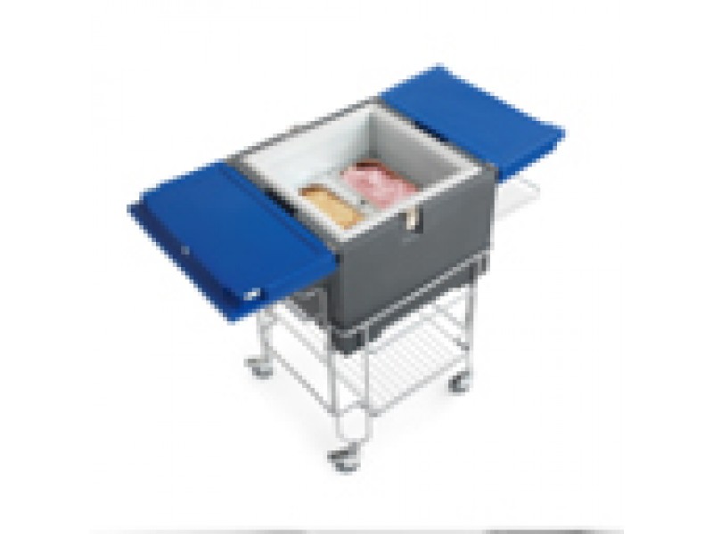ISOTHERMAL CONTAINER MOD. COOLBOX FOR ICE CREAM WITH PANS