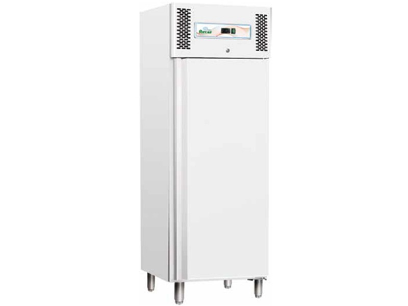 STATIC FREEZER 600 LT PAINTED SHEET 