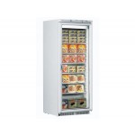 FREEZER GLASS DOOR ICE PLUS N 60