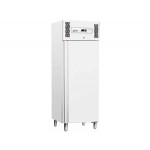 STATIC FREEZER 600 LT PAINTED SHEET