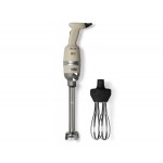 MIXER 300 WATT WITH WHIP AND MIXING OF 300 MM SPEED VARIABLE